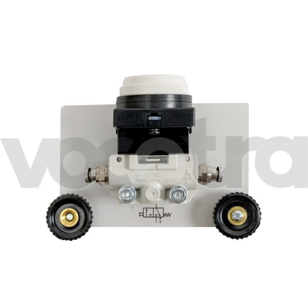 Pneumatic mechanical button valve