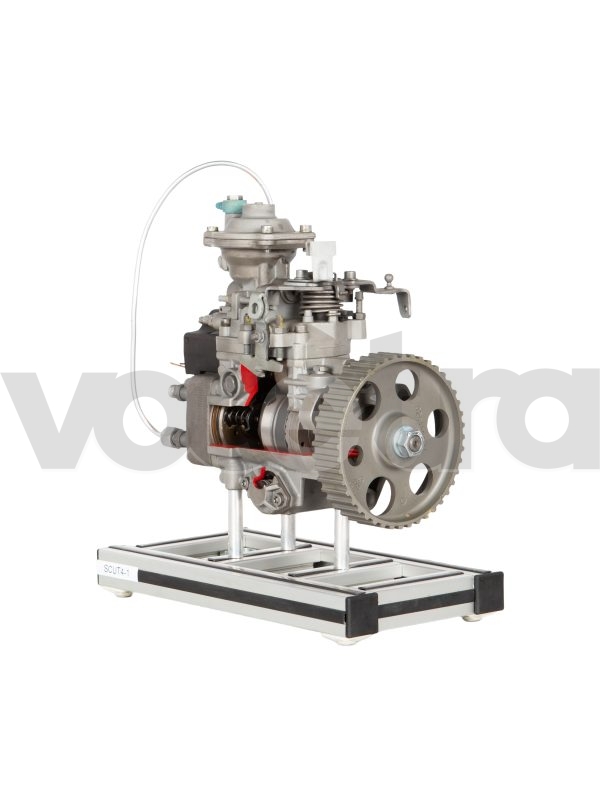 Model section of a VE injection pump of the distribution type